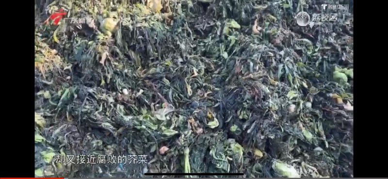 烘焙是读“bei”还是“pei”？三招教你秒懂正确读音